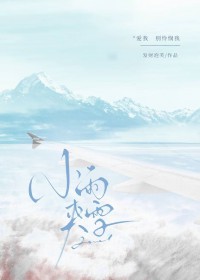 小雨加雪